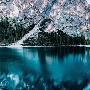 Meet your Posher, Renee